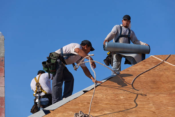 Best Roof Maintenance Services  in Ivey, GA